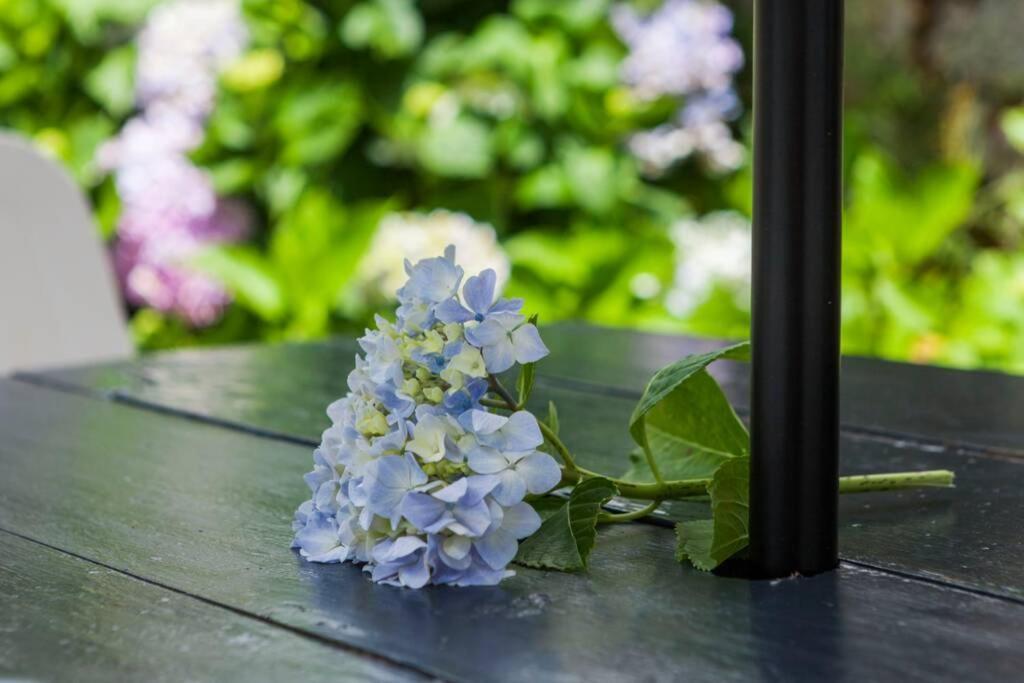 Moradia No Largo Villa Furnas  Ngoại thất bức ảnh